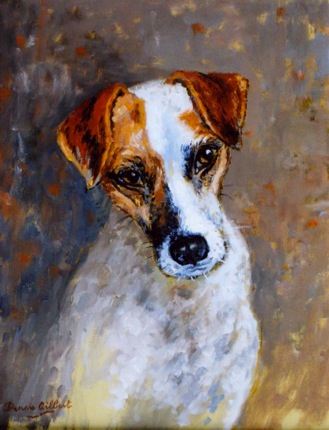 14 jackRusselTerrier